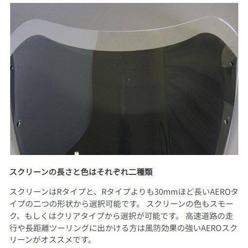 World Walk ワールドウォーク ビキニカウル 【AEROタイプ】 カラー：キャンディトーンブルー / スクリーンカラー：スモーク Z900RS KAWASAKI カワサキ 外装_6