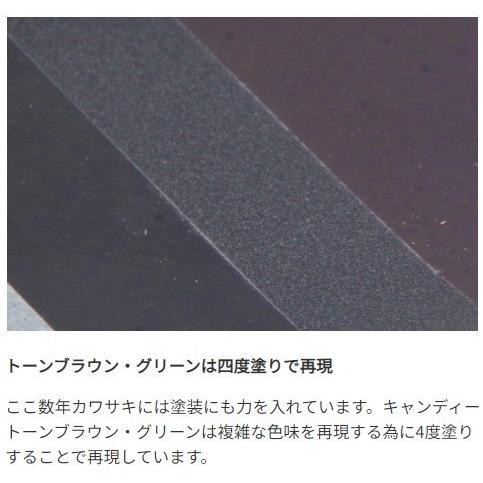 World Walk ワールドウォーク ビキニカウル 【Rタイプ】 カラー：50th・キャンディダイヤモンドブラウン / スクリーンカラー：スモーク Z900RS カウル関連 外装_2