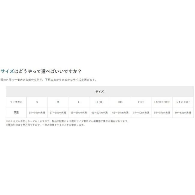 LEAD工業 リード工業 DALE(デイル) ヘルメット 半帽タイプヘルメット | リード工業 | 05