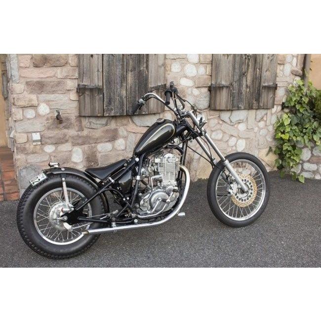 Motor Rock モーターロック ハードテールキット タイプ：塗装済み