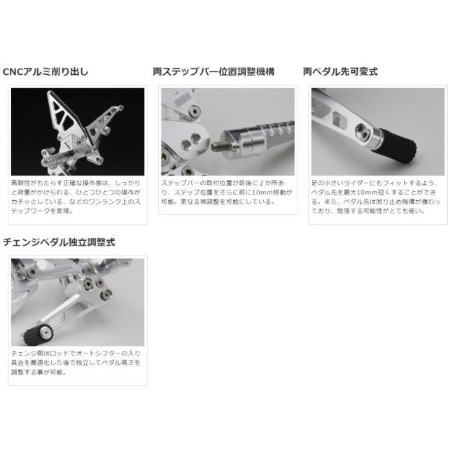 作業　調整 AELLA（アエラ） ライディングステップキット カラー：ポリッシュ