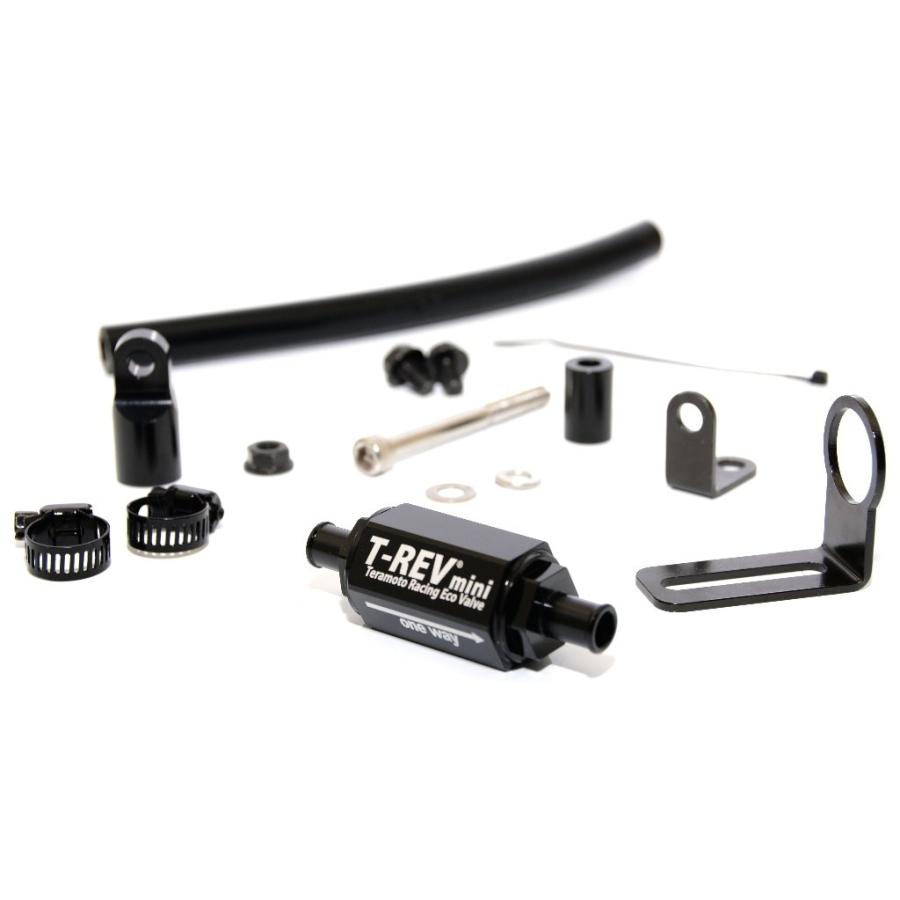 T-REV(寺本自動車商会) ティーレブ T-REVmini SPキット カラー