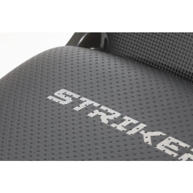 STRIKER（ストライカー） エアロデザイン“SAD” シングルシートカウル