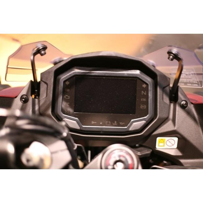 Protecs プロテクス オプション：施工専用ジェル付き ZX-10R ZX-25R ZX