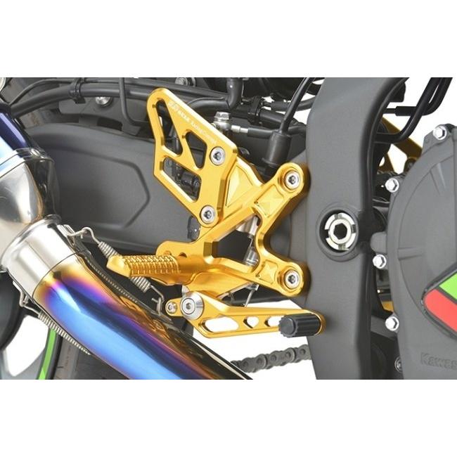 r's gear アールズギア Racing Concept ライディングステップ カラー