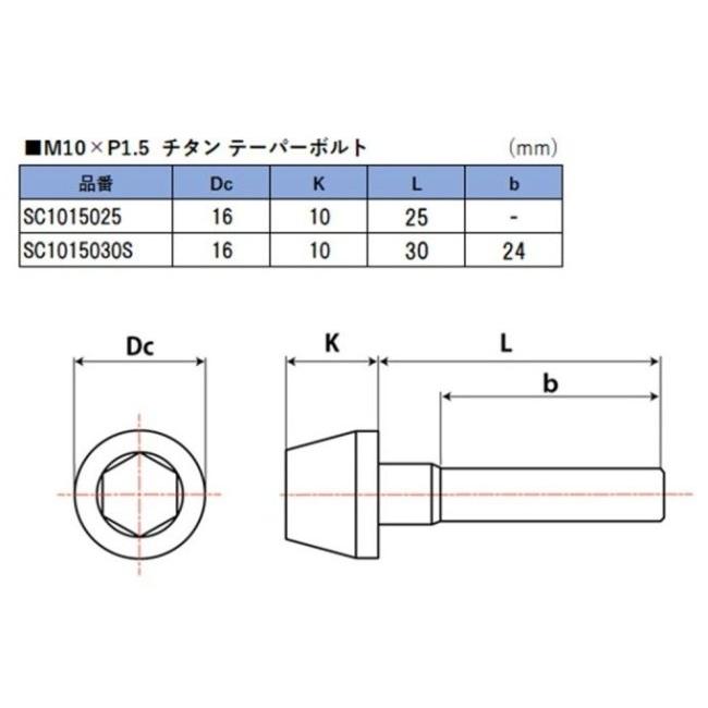 GALE SPEED ゲイルスピード テーパーボルト サイズ：25mm 汎用ボルト・ネジ | GALE SPEED | 02