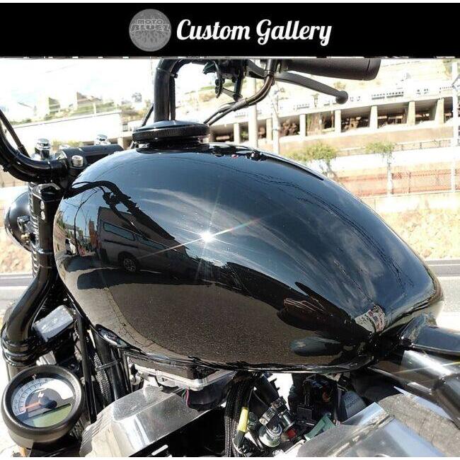 THUNDER MOTORCYCLES サンダーモーターサイクルズ サンダー250