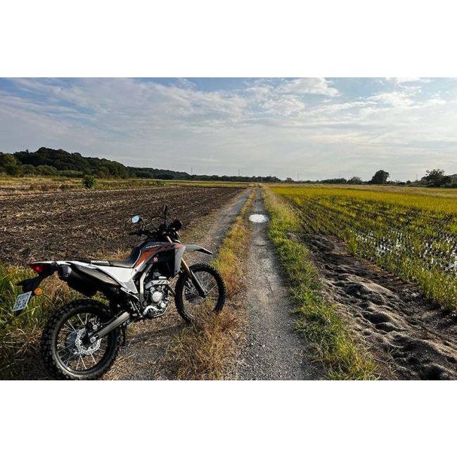 SP忠男 スペシャルパーツ忠男 POWERBOX パイプ CRF250L HONDA ホンダ エキゾーストパイプ マフラー | SP忠男 | 05