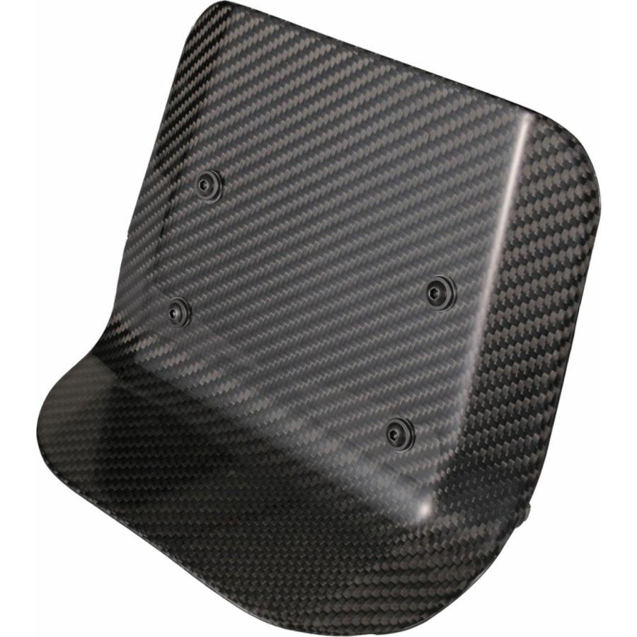 SPEEDRA スピードラ メーターバイザーキット タイプ：綾織りカーボン(艶あり) RH1250S スポーツスターS HARLEY-DAVIDSON ハーレーダビッドソン カウル関連 外装 | SPEEDRA