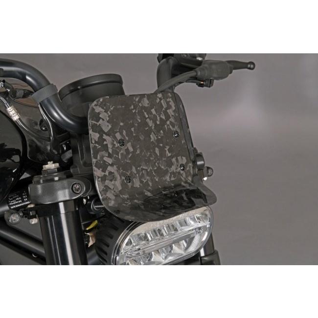 SPEEDRA スピードラ メーターバイザーキット タイプ：綾織りカーボン(艶あり) RH1250S スポーツスターS HARLEY-DAVIDSON ハーレーダビッドソン カウル関連 外装 | SPEEDRA | 02