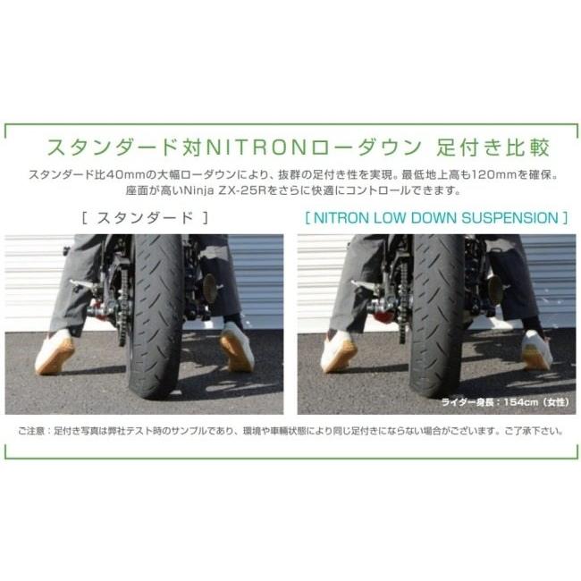 NITRON ナイトロン リアサスペンションモノショック NTR R3 シリーズ