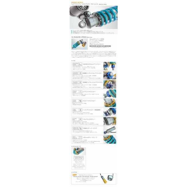 NITRON ナイトロン リアサスペンションモノショック RACE (PRO
