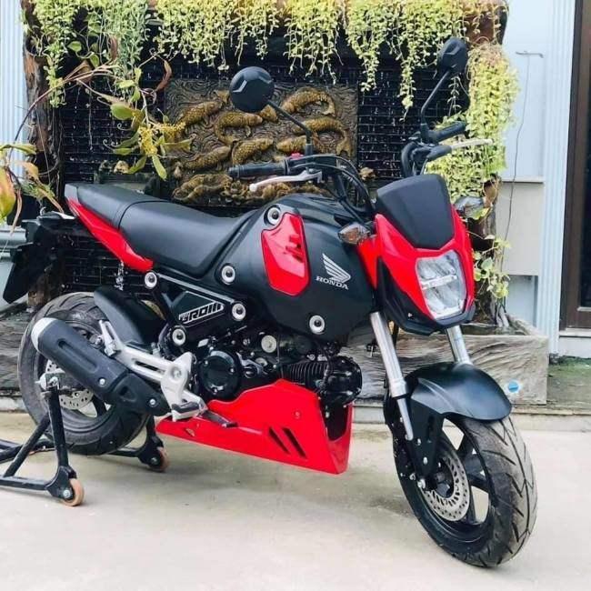 SNB エスエヌビー Light cover Honda Grom Color：White MSX125 (GROM