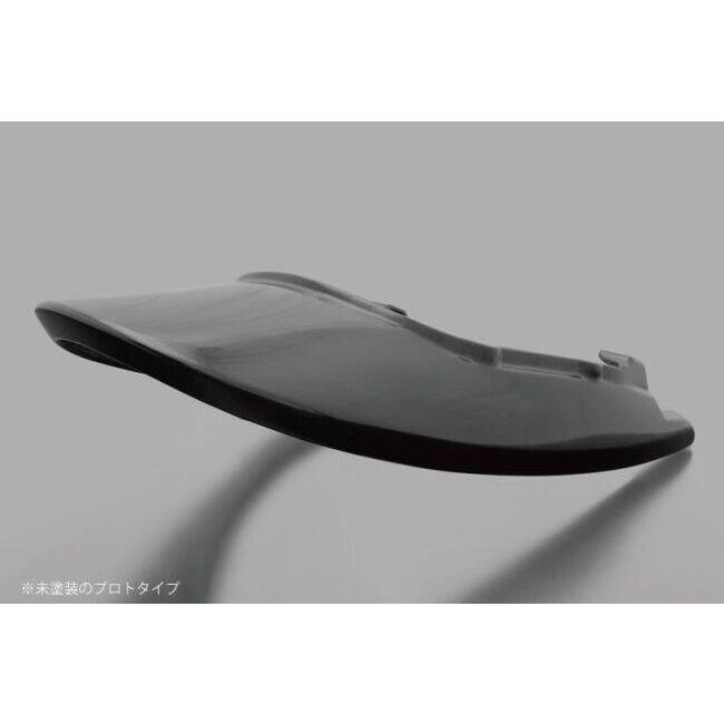 ARCHI（アーキ） ロングテールカウル カラー：メタリックムーンダスト
