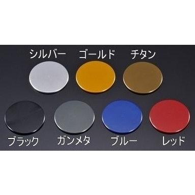 AGRAS アグラス バックステップ アルマイトカラー：ガンメタ / ステップバーエンドカラー：ブラック ステップバータイプ：MFJ-B(標準) ZX-10R ステップ 足回り | Agras | 05