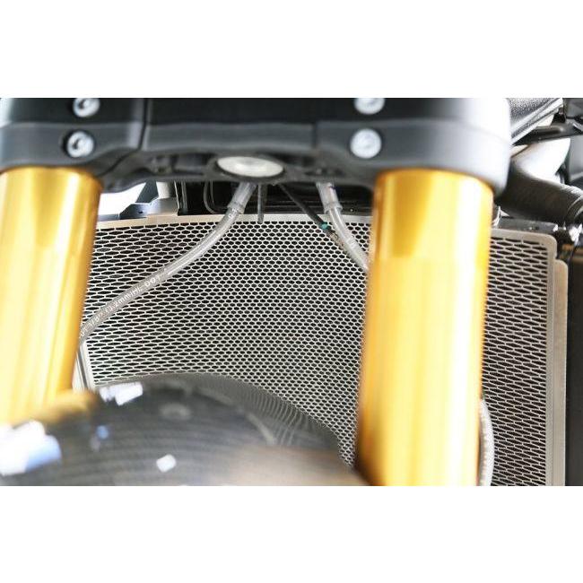 AELLA アエラ ラジエタープロテクター カラー：ステンレス(シルバー) STREET TRIPLE 765 MOTO2 edition TRIUMPH トライアンフ 冷却関連 エンジン | AELLA | 04