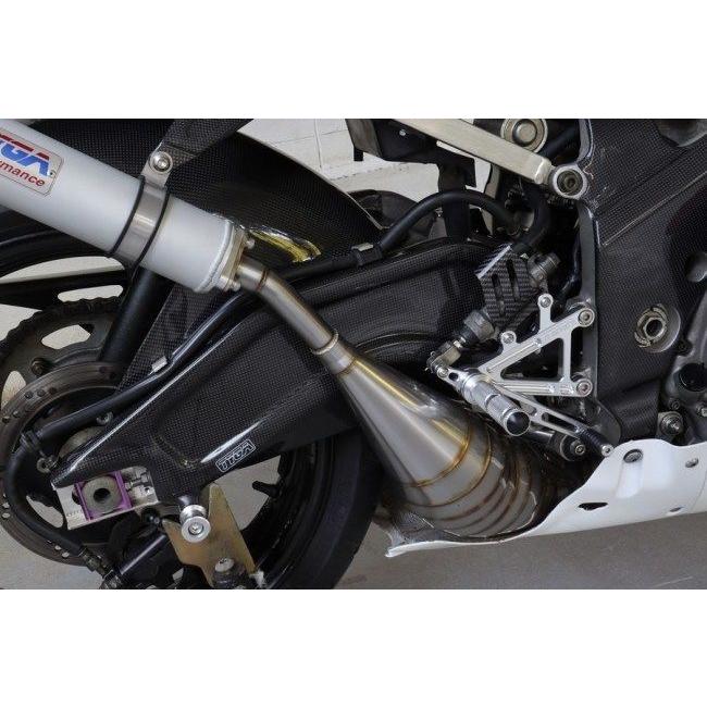 TYGA PERFORMANCE タイガパフォーマンス カーボン製スイングアームカバー ペア  RVG250 VJ23 RGV250 Gamma SUZUKI スズキ スイングアームカバー・プロテクターの画像
