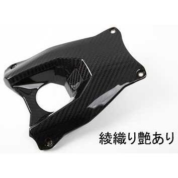 SPEEDRA（スピードラ） フロントフェンダー ドライカーボン 仕様