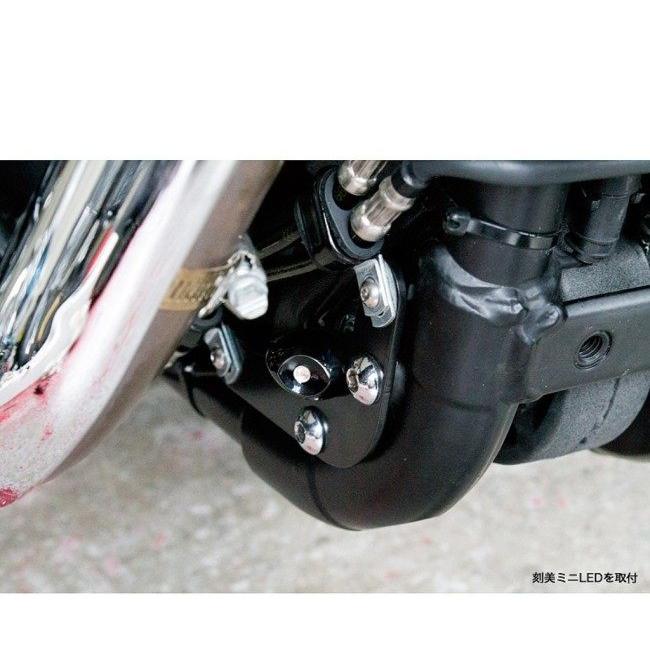 TRIJYA トライジャ ウインカーステー オプションボルト：化粧ボルト4本セット XL HARLEY-DAVIDSON ハーレーダビッドソン ウインカーステー・マウント 灯火類 | ブランド登録なし | 01