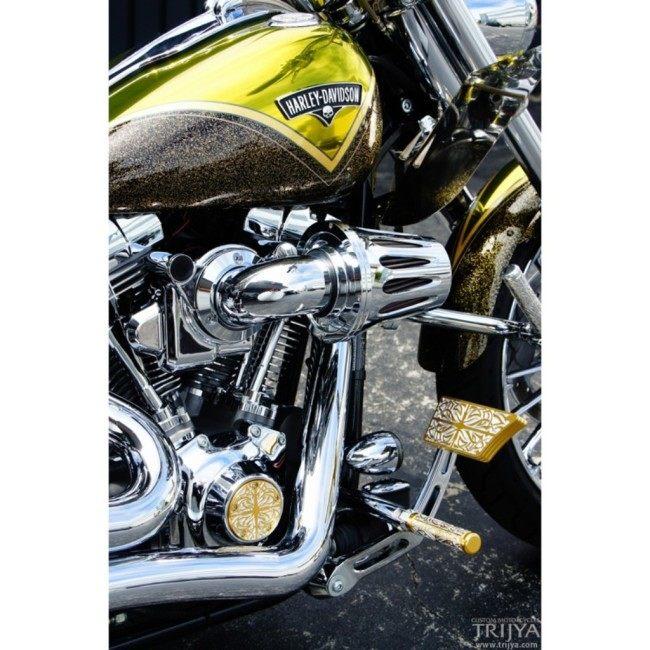 TRIJYA トライジャ ウインカーステー カラー：ブラック SOFTAIL FXCW