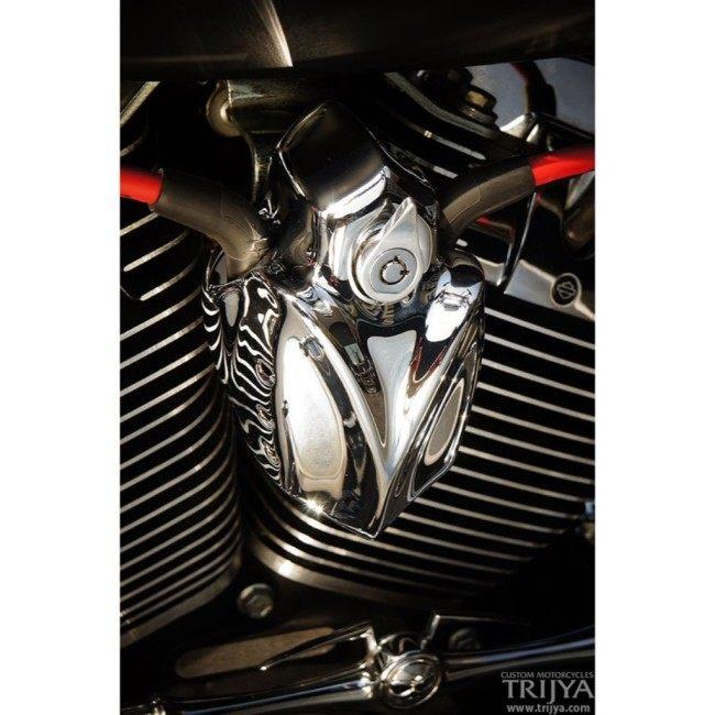 TRIJYA トライジャ コイルカバー カラー：クローム FXCW ロッカー FXS