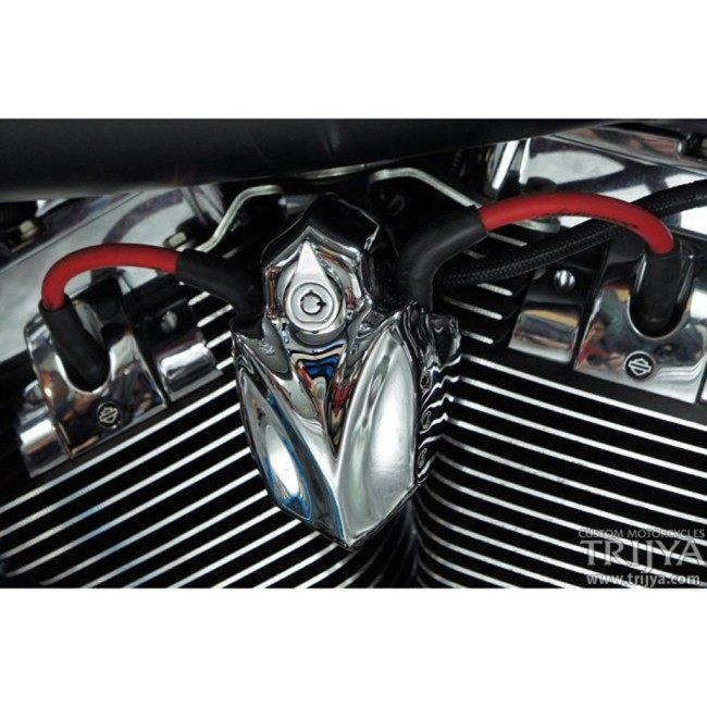 TRIJYA トライジャ コイルカバー カラー：クローム FXCW ロッカー FXS 