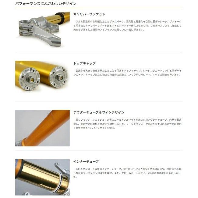 OHLINS（オーリンズ） 倒立フロントフォーク“FG R＆T” PANIGALE V4 V2