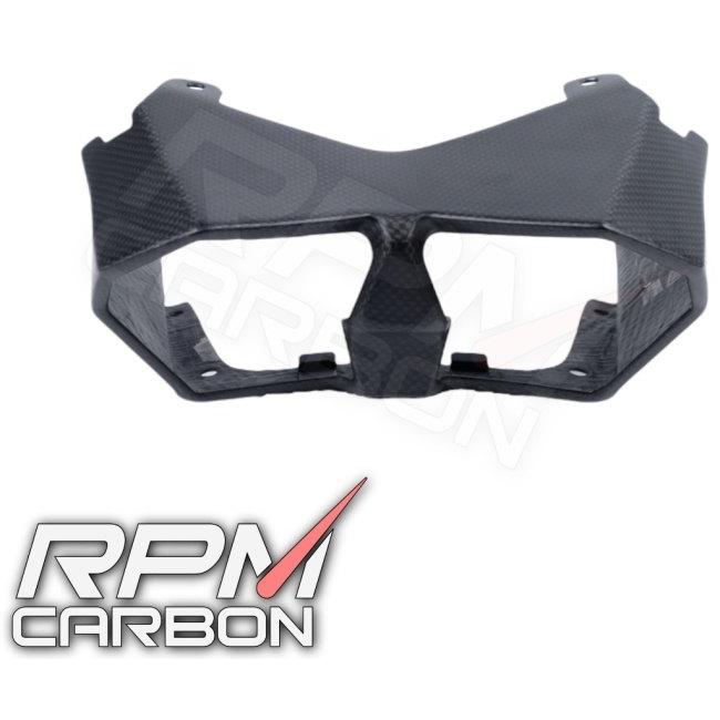 RPM CARBON アールピーエムカーボン テールランプカウル NINJA H2 SX