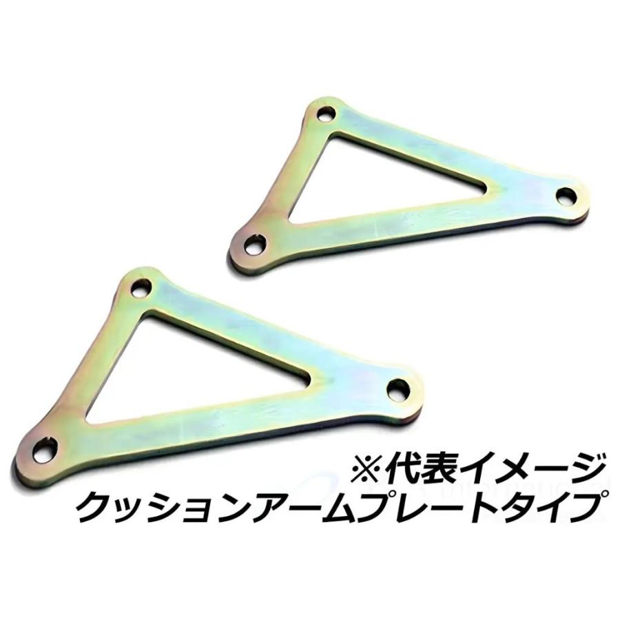 P&A International P&Aインターナショナル ローダウンキット ダウン量