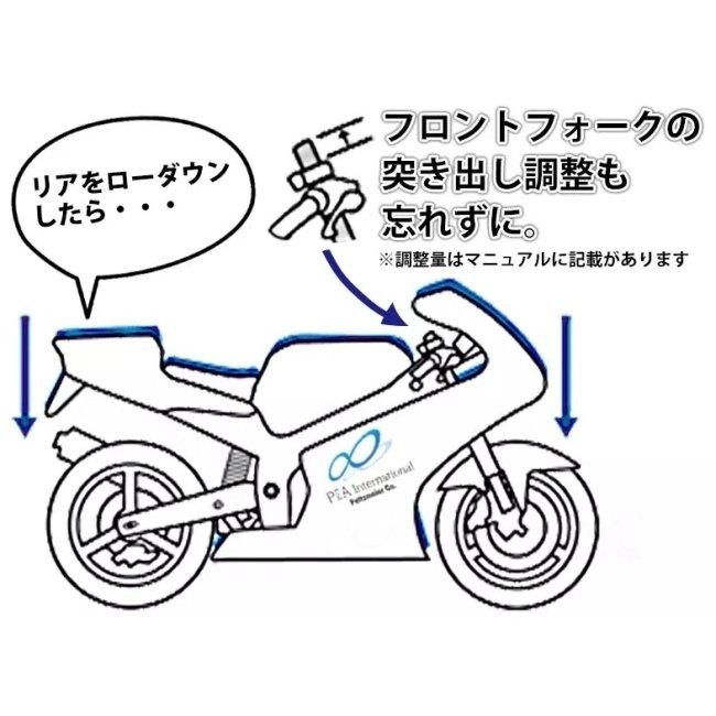 P&A International P&Aインターナショナル ローダウンキット ダウン量