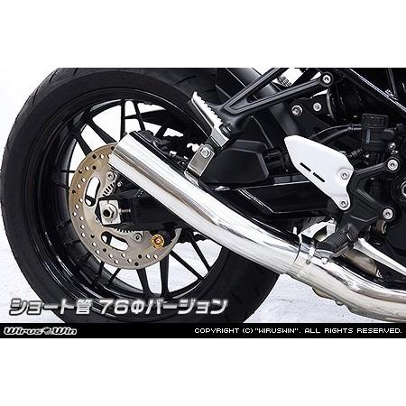 WirusWin（ウイルズウィン） スリップオンマフラー ショート管