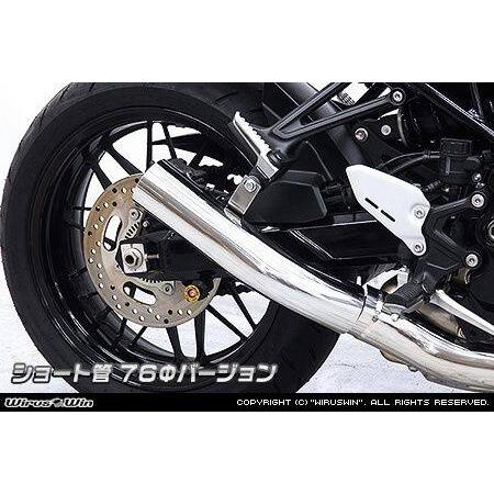 WirusWin（ウイルズウィン） スリップオンマフラー ショート管