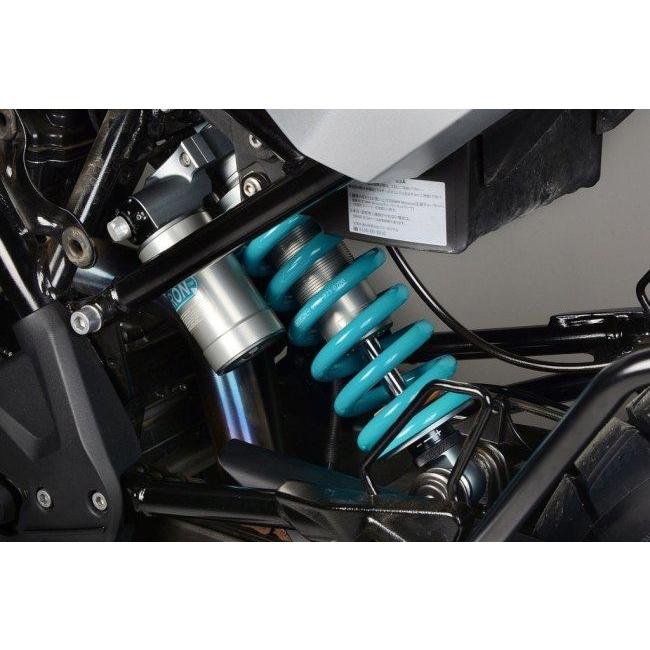 NITRON ナイトロン リアサスペンションモノショック NTR R3 シリーズ スプリングカラー：タイタニウムブラック G310GS BMW リアサスペンション サスペンション_4