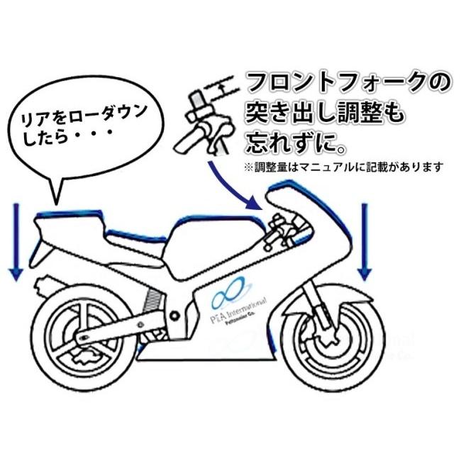 P&A International P&Aインターナショナル ローダウンキット Daytona 660 TRIUMPH トライアンフ サスペンション 足回りの画像