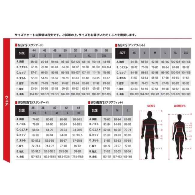 Alpinestars レザーバイクパンツ サイズEUR52 アルパインスターズ（alpinestars） GP-R7 LEATHER SUIT [ジー