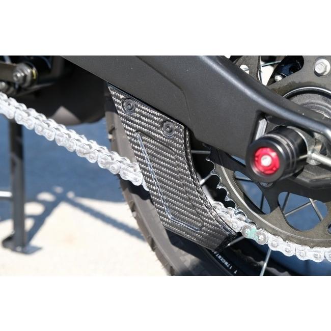 SPEEDRA スピードラ チェーンガード 仕様：フォージドカーボン(艶あり) RA1250 パンアメリカ1250 HARLEY-DAVIDSON ハーレーダビッドソン フレームの画像