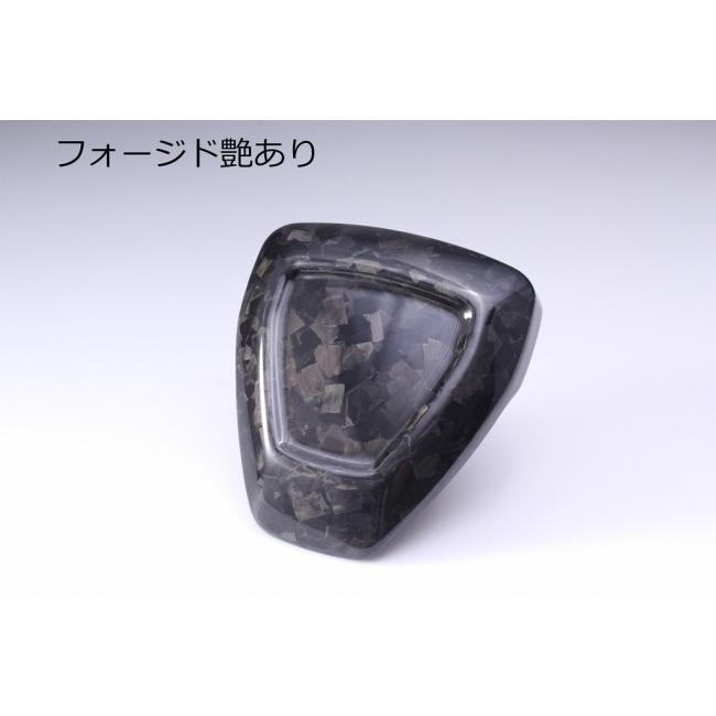SPEEDRA スピードラ チェーンガード 仕様：フォージドカーボン(艶あり) RA1250 パンアメリカ1250 HARLEY-DAVIDSON ハーレーダビッドソン フレームの画像