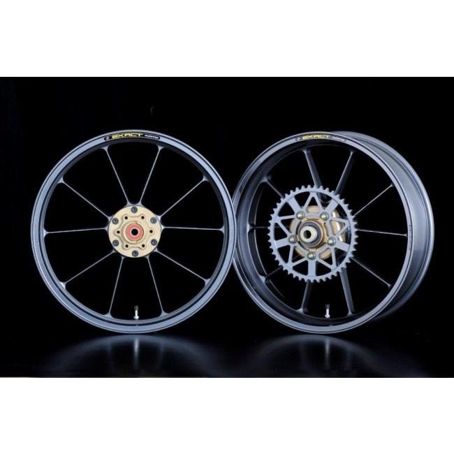 ADVANTAGE（アドバンテージ） EXACT RACING 10 フル鍛造マグネシウム