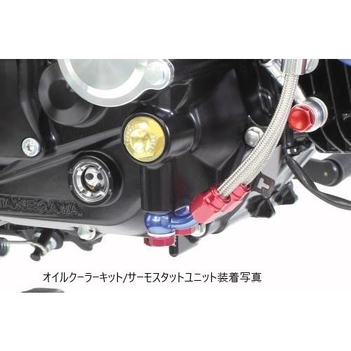 スペシャルパーツ武川 SP武川 SPタケガワ スペシャルクラッチキット