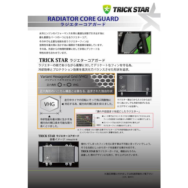 Ninja ZX-6R トリックスター ラジエターガード その他3点　計4点 TRICK STAR（トリックスター） ラジエターコアガード 表面仕上げ