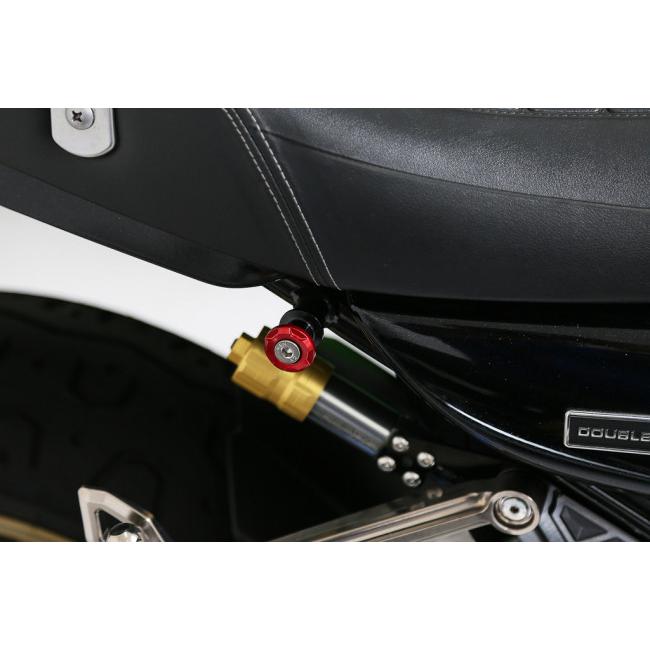 AELLA（アエラ） M8 ユニバーサルフック(Kawasaki Z900RS) カラー