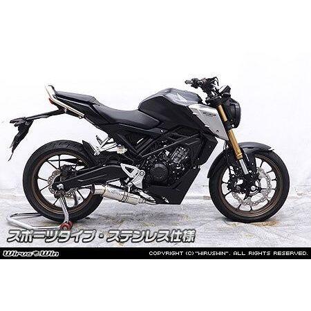 WirusWin（ウイルズウィン） ダイナミックマフラー カラー：ステンレス