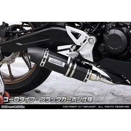 WirusWin ウイルズウィン ダイナミックマフラー タイプ：ユーロタイプ / カラー：ブラックカーボン CB125R HONDA ホンダ フルエキゾーストマフラー マフラーの画像