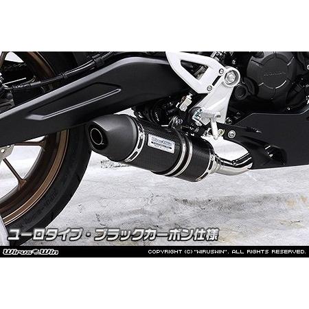 WirusWin ウイルズウィン ダイナミックマフラー タイプ：ユーロタイプ / カラー：ブラックカーボン CB125R HONDA ホンダ フルエキゾーストマフラー マフラーの画像