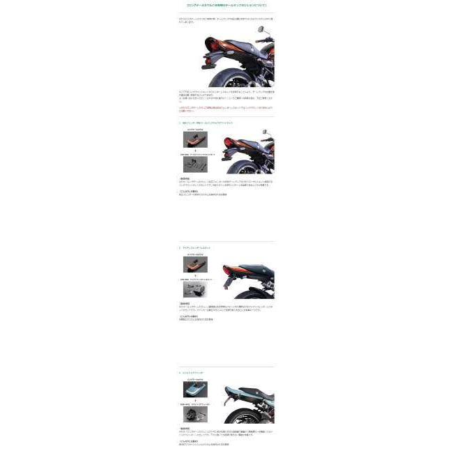 ARCHI アーキ ロングテールカウル Z900RS CAFE SE KAWASAKI カワサキ シートカウル・テールカウル カウル関連 外装の画像