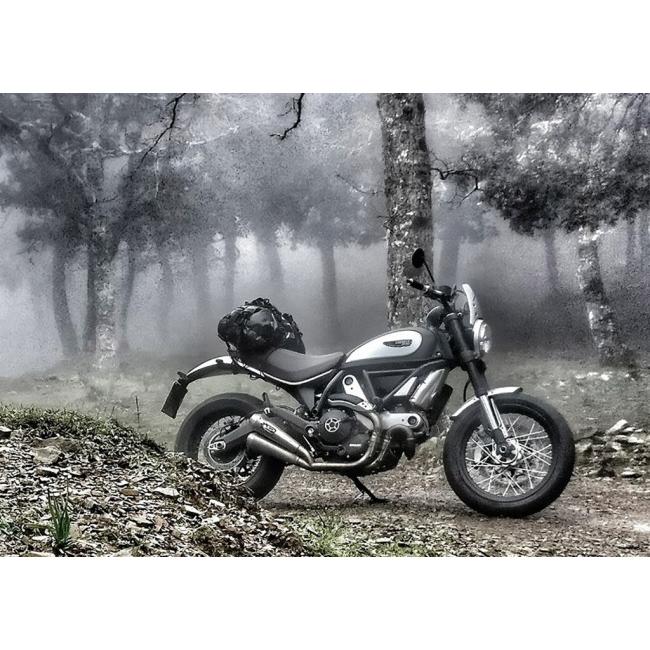 SPARK EXHAUST スパーク マフラー 1in2 Yパイプ スリップオンマフラー タイプ：承認済 SCRAMBLER 800 DUCATI ドゥカティの画像