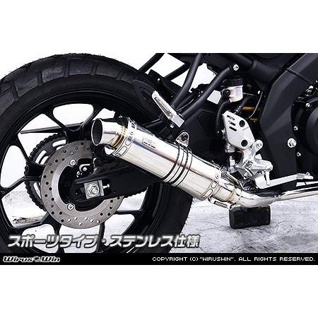 WirusWin（ウイルズウィン） ダイナミックマフラー スポーツタイプ