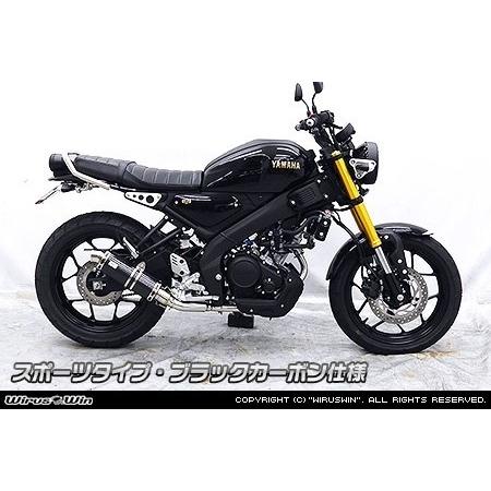 WirusWin（ウイルズウィン） ダイナミックマフラー スポーツタイプ