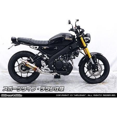 WirusWin（ウイルズウィン） ダイナミックマフラー スポーツタイプ