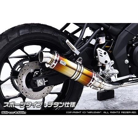WirusWin（ウイルズウィン） ダイナミックマフラー スポーツタイプ